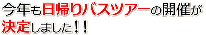 NAoXcA[̊JÂ肵܂I